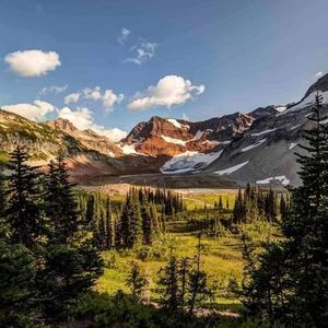 Meet your Posher, Luann